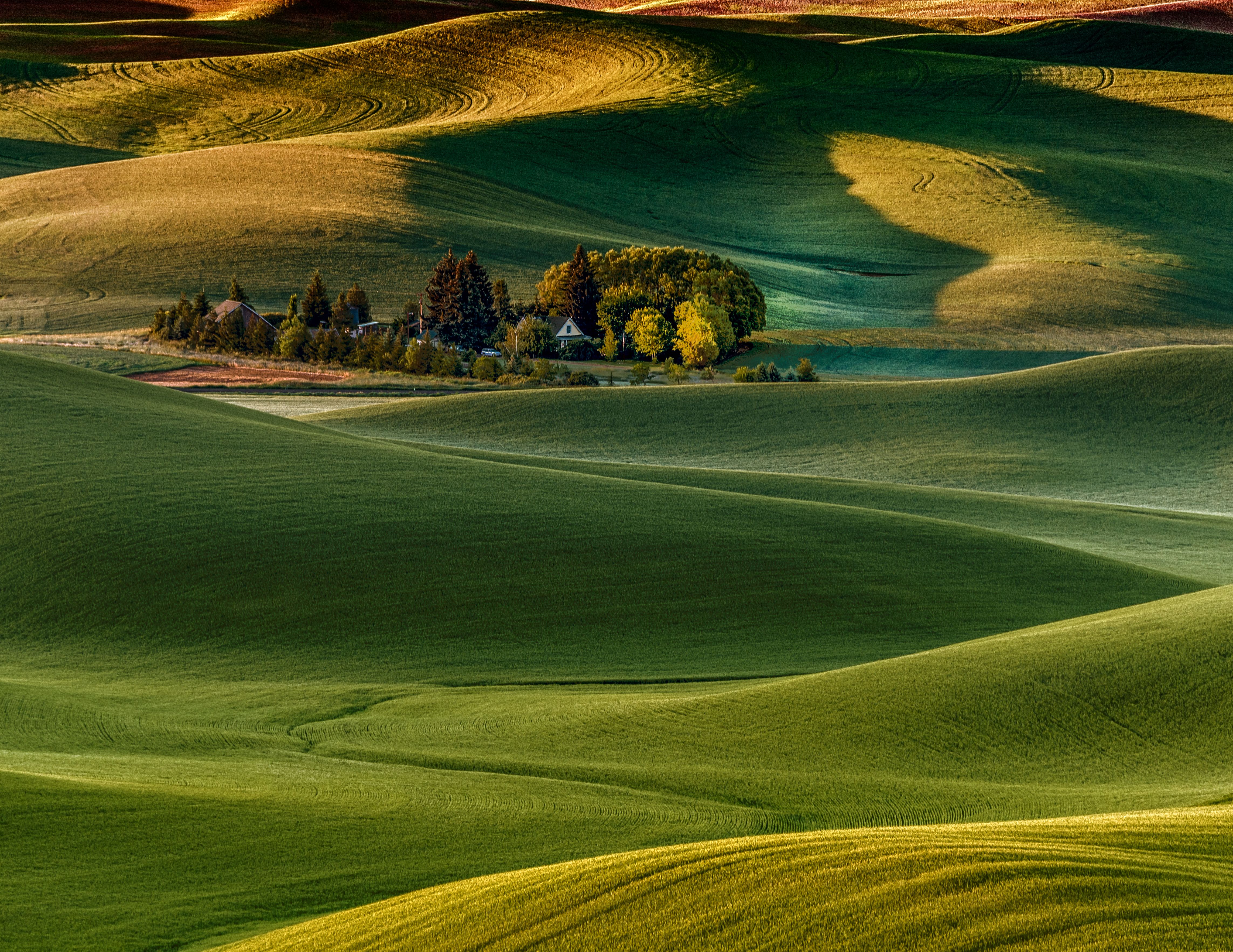 Sunrise from Steptoe Butte at the Palouse | Shutterbug